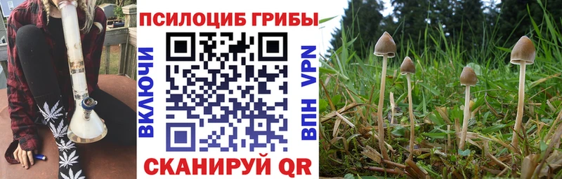 Галлюциногенные грибы MAGIC MUSHROOMS  Весьегонск 